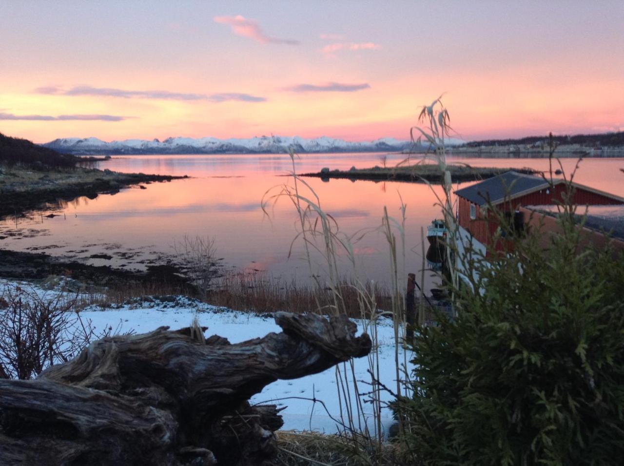 Myrland Prima Lofoten מראה חיצוני תמונה