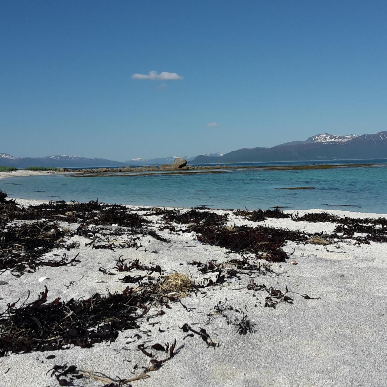 Myrland Prima Lofoten מראה חיצוני תמונה