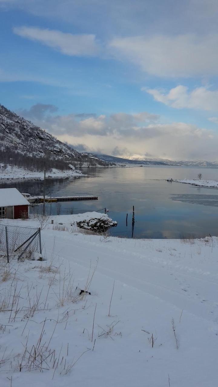 Myrland Prima Lofoten מראה חיצוני תמונה